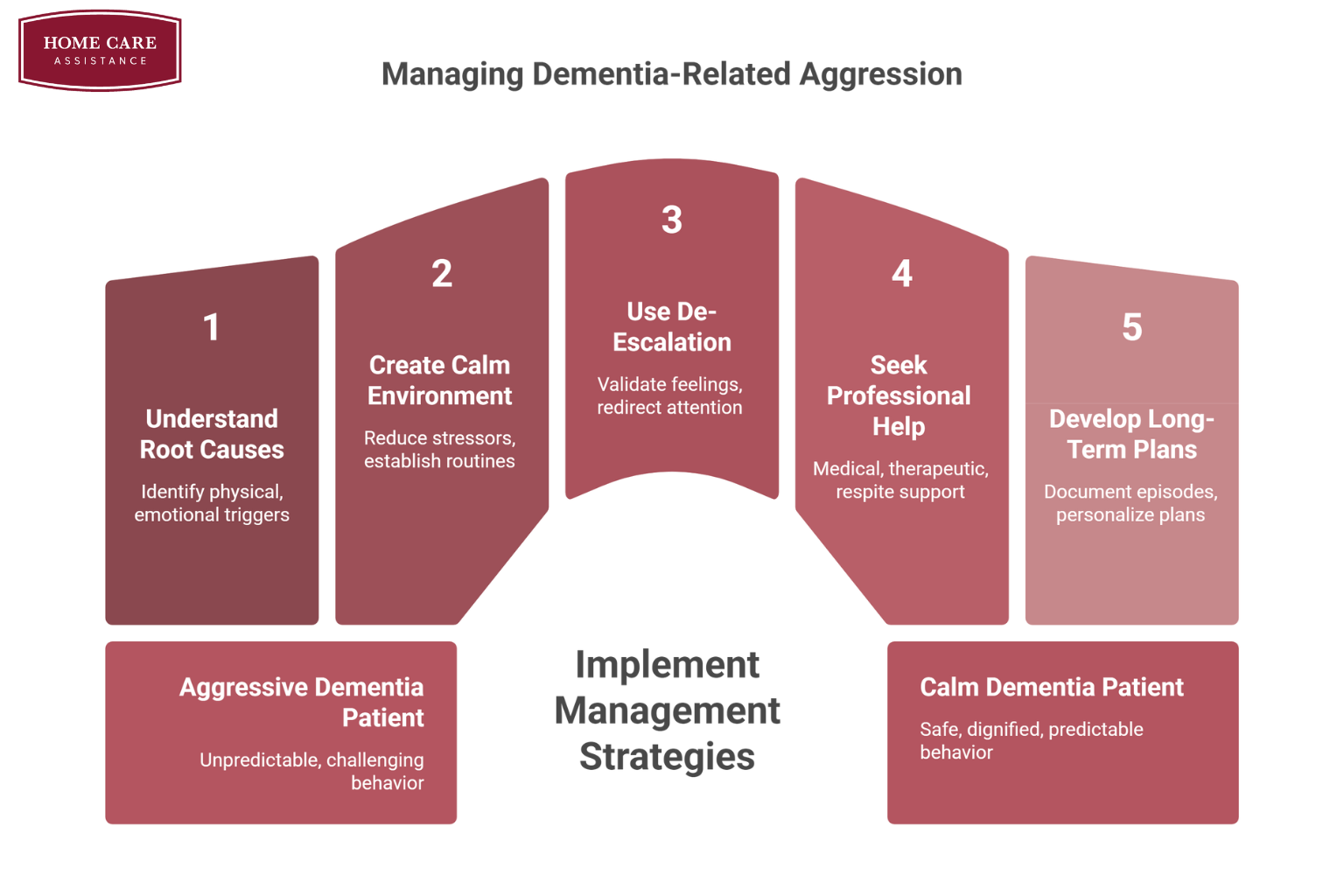 Managing Aggression in Older Adults Living with Dementia